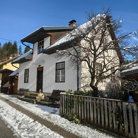 Hisa Hortenzija Luče Dış mekan fotoğraf