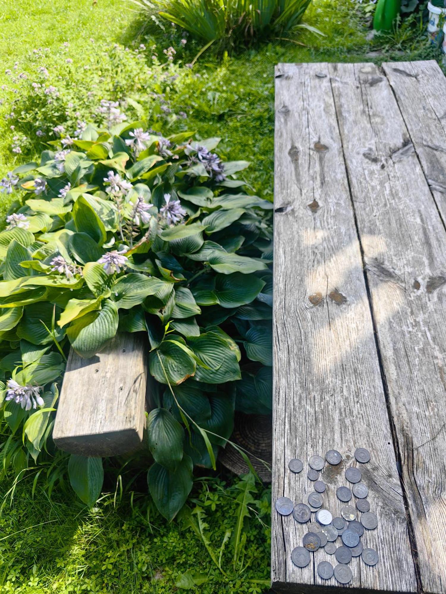 Hisa Hortenzija Luče Dış mekan fotoğraf