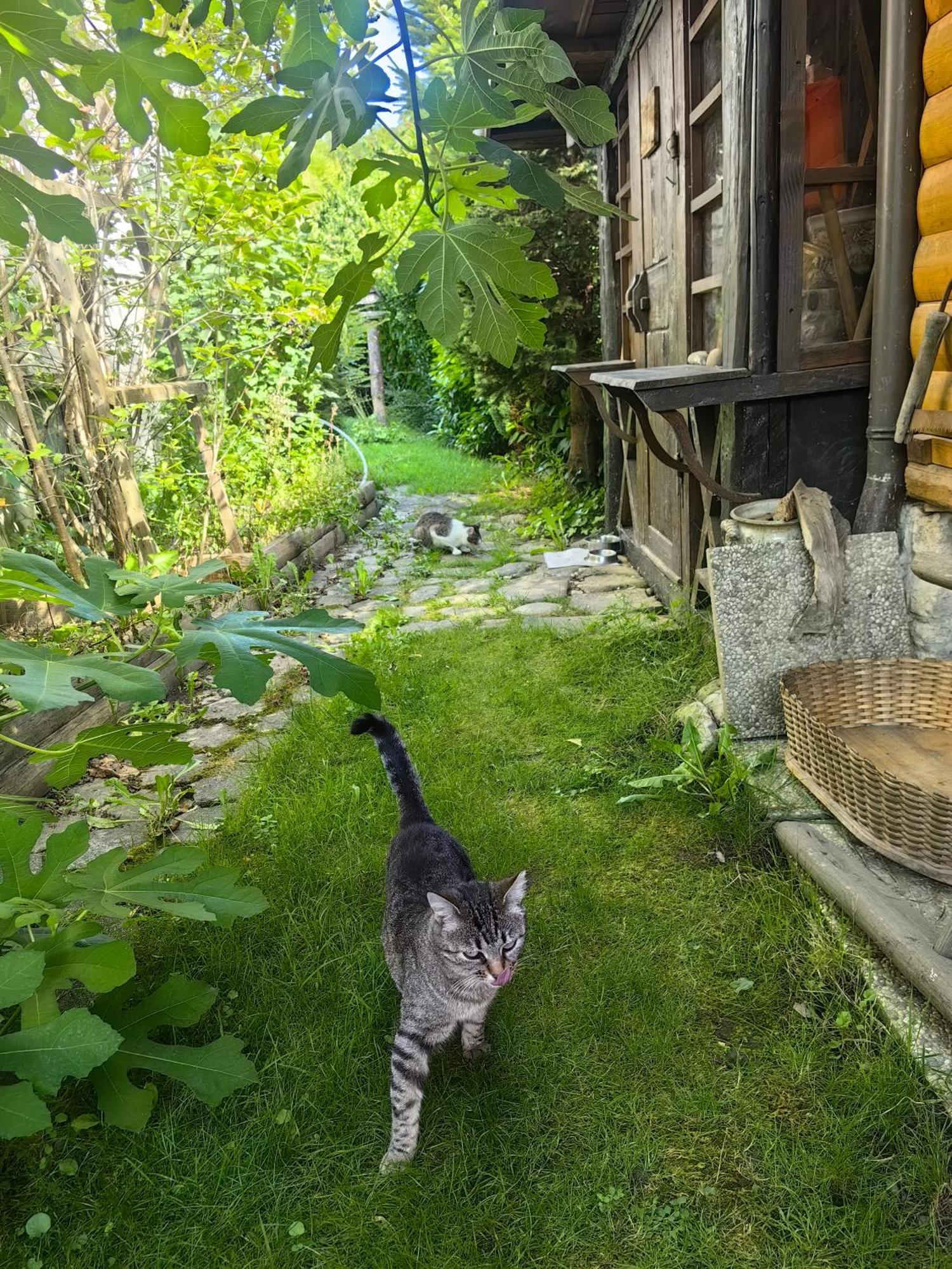 Hisa Hortenzija Luče Dış mekan fotoğraf
