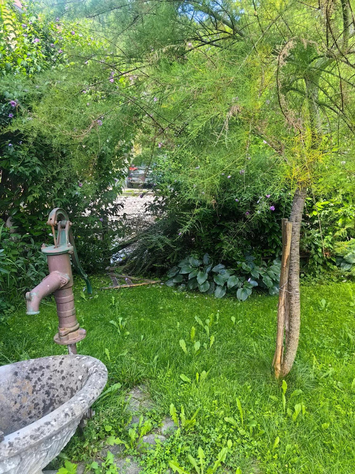 Hisa Hortenzija Luče Dış mekan fotoğraf