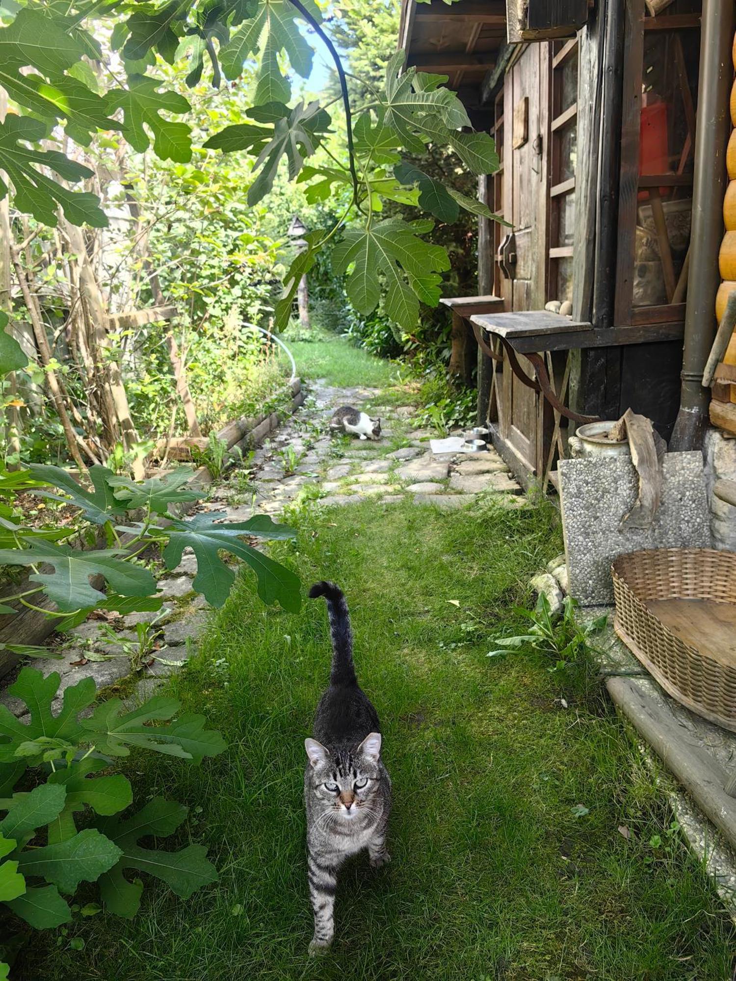 Hisa Hortenzija Luče Dış mekan fotoğraf